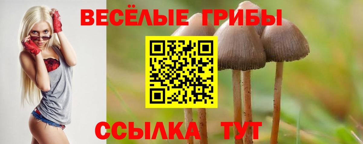 Егорьевск  где купить наркоту  Вход с VPN  Псилоцибиновые грибы GOLDEN TEACHER 