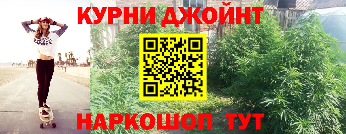 Егорьевск  Каннабис индика  Вход с VPN  Конопля Bruce Banner 